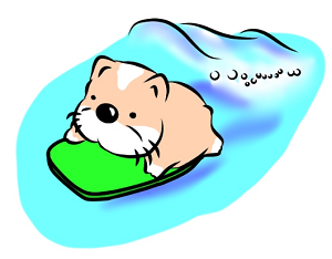 エアリアル